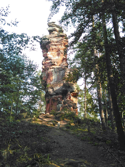Napoleonsteig 2017